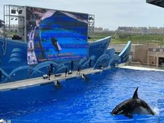 -上海海昌海洋公园