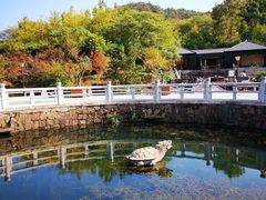 -白马涧龙池景区