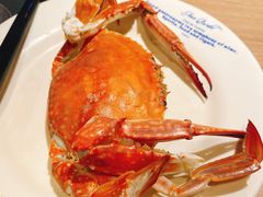 -星伦多自助料理(爱琴海店)