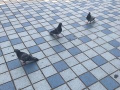 -阪急百货店(梅田总店)