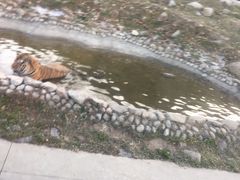 -西安秦岭野生动物园