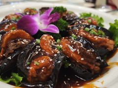 -普天和酒楼·新津菜·烤鸭(天津之眼店)