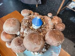 活体松香菇-捞王锅物料理(上海世茂广场店)