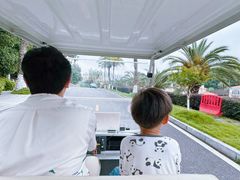 -圣爵菲斯大酒店(长沙世界之窗店)