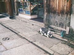 -绍兴书圣故里景区