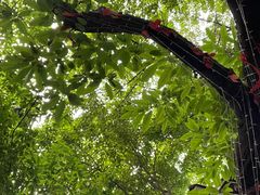 -重庆十八梯传统风貌区