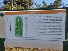 -玲珑塔公园
