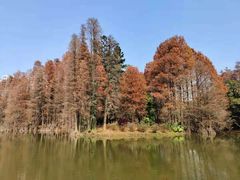 -华南国家植物园-售票处