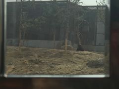 -太原动物园