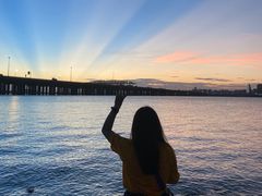 -宝安西湾红树林湿地公园