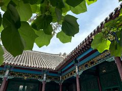 -张学良旧居陈列馆(大帅府)