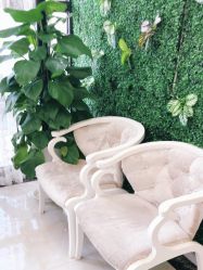 -苗医生草本科技祛痘