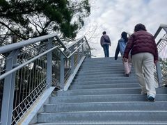 -佛山华盖山公园