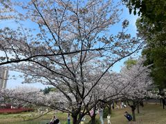 -屈原公园
