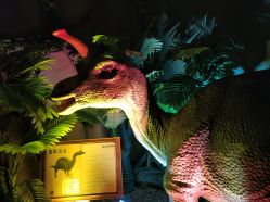 点击看大图 -恐龙探索乐园(磁器口店)