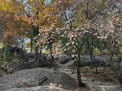 -北京十三陵国家森林公园蟒山景区