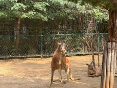 -济南野生动物世界