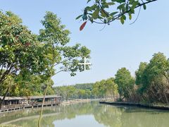 -沙家浜风景区