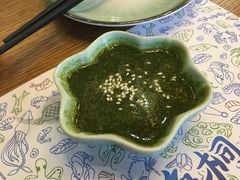 -海桐