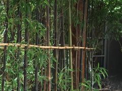 -万达影城(银兴菲林店)