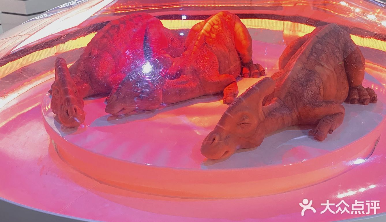 妈耶，恐龙复活了！？带你亲眼观赏一比一还原最真实的侏罗纪世界