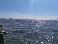 -海埂大坝