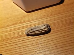 -顺香居·老字号湖北菜(江汉路店)