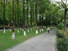 -成都南湖公园