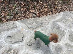 -秦岭终南山世界地质公园翠华山景区
