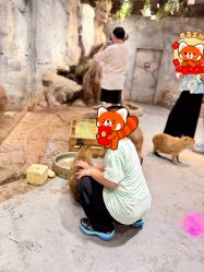 -Zoolung Zoolung动物主题公园(海信广场店)