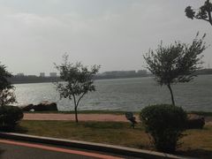 -丁香湖公园