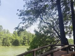 -东湖落雁景区