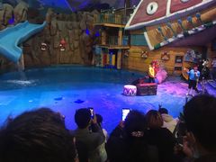 -烟台海昌鲸鲨海洋公园