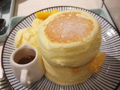 -王守财小山園