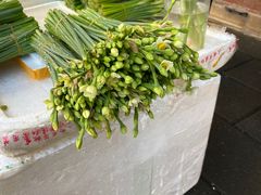 -溪岸路花鸟市场