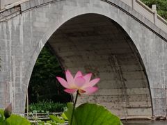 -映月湖公园
