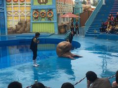 -华夏文旅海洋公园