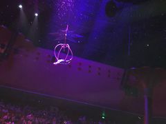 -珠海横琴长隆《卡卡虎奇遇记》