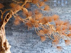 -金凤凰健康养生·足疗·推拿·SPA(横岗店)