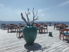 -中央格兰德岛温泉度假酒店 - 全包