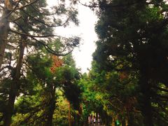 -南岳衡山风景名胜区