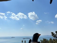 -燕窝岭