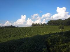 -南京市江宁方山