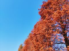 -华南国家植物园-售票处