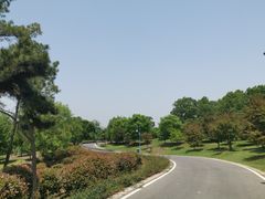 -南京枫彩漫城