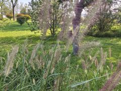 -汉长安城未央宫国家考古遗址公园