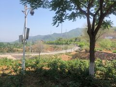 -密云玫瑰情园
