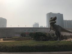 -陕西自然博物馆