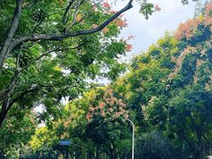 -云间粮仓
