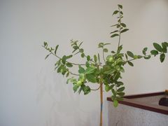 -肥朵食堂(带梦胡同店)